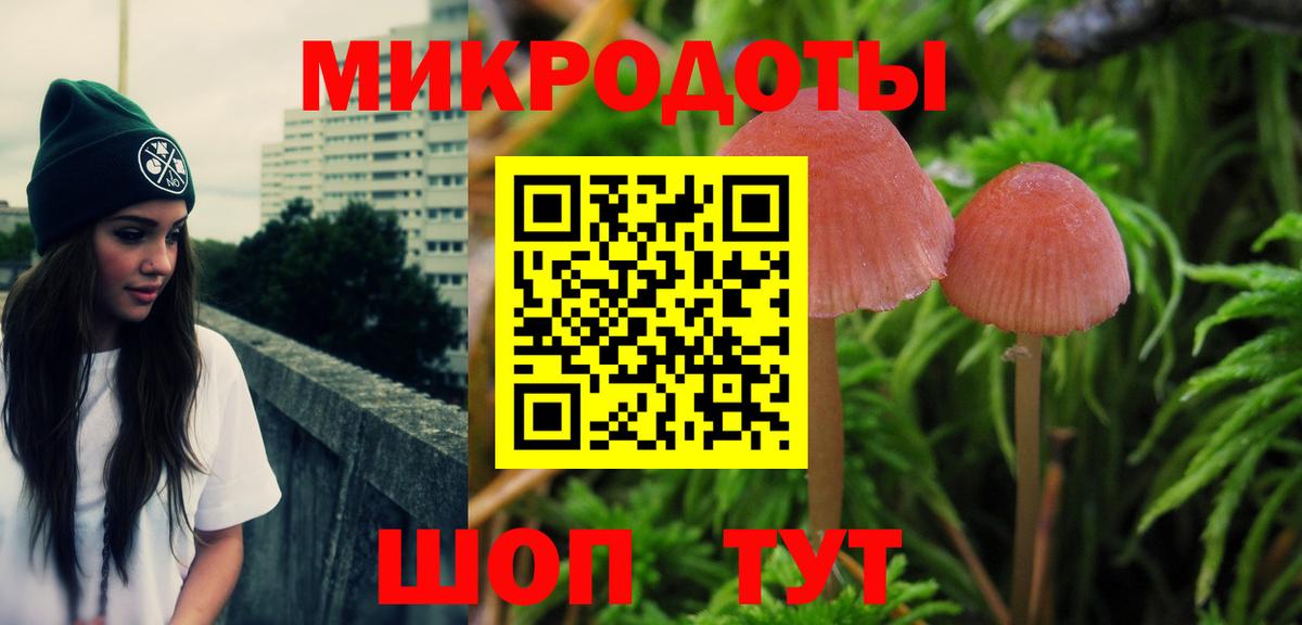 Псилоцибиновые грибы прущие грибы Знаменск